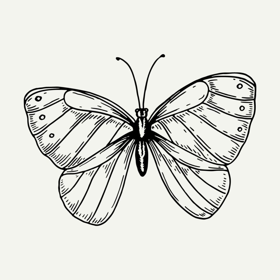 16 Symbols of Strength and Growth - A Thousand Lights